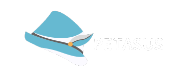 Petasus Logo 2