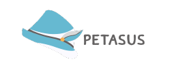 cropped-Petasus-Logo.png
